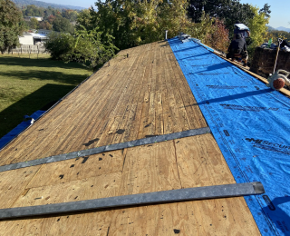 Knoxville TN mold removal, Roof mold inspection, Professional mold remediation, Roofing repair mold damage, Mold prevention roofing, Cost of mold removal on roof, Health risks of roof mold, Moldy plywood replacement, Signs of mold on roof, Roof leak mold growth, Roofing services Knoxville, Mold cleaning agents for plywood, Mold-resistant roofing materials