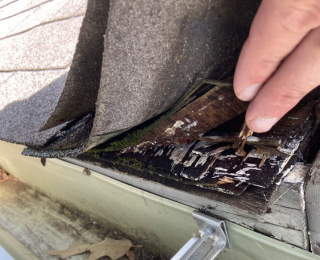 rotten boards when replacing, roof decking replacement, replacing rotten roof boards, roof rot repair Knoxville, roof board rot causes, fixing roof decking damage, roof board replacement cost, Knoxville roofing contractors, signs of rotten roof boards, roof structural damage, wood rot in roof decking, causes of roof decking rot, roof damage from water leaks, plywood roof board replacement, repair rotten roof sheathing, Knoxville roof replacement tips