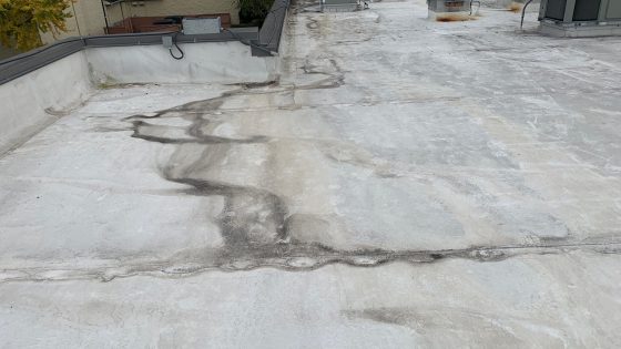 Commercial roof membrane failure, flat roof damage signs, commercial roofing Knoxville TN, roof membrane blistering, flat roof ponding water, EPDM membrane failure, signs of TPO roof failure, commercial roof leaks, membrane roof inspection, Knoxville roofing contractors, Litespeed Construction roofing, early signs roof membrane fails, roof maintenance tips commercial, best commercial roofing TN, roof damage prevention